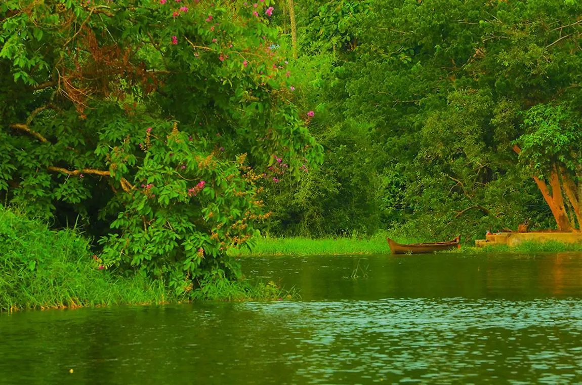 Palette - Periyar Resort Kotamangalam