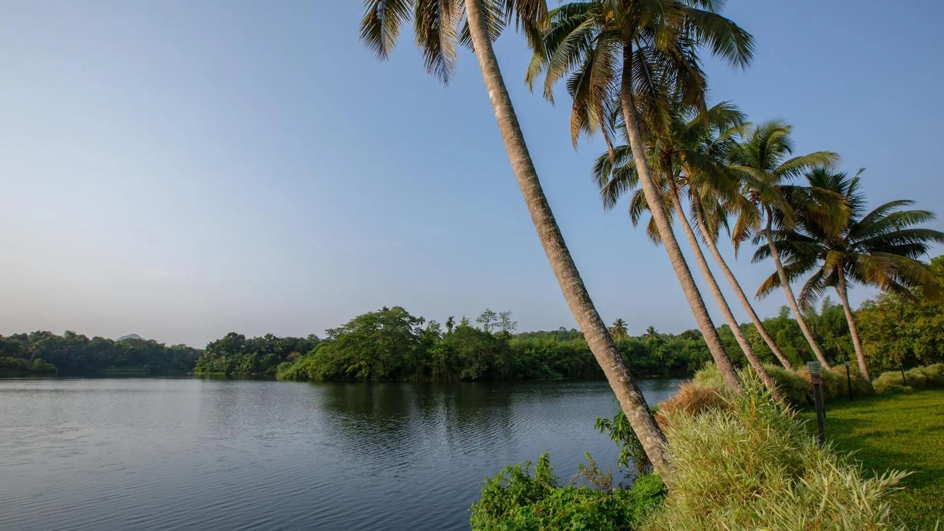 Palette - Periyar Resort Kotamangalam